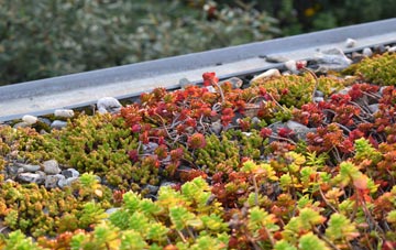 the cost of Charwelton green roof installation