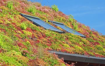 Charwelton living roof systems